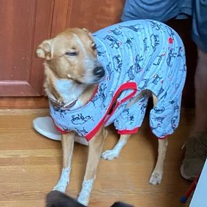 Dog P/J’s Size Large Zoo animal print wearing Santa hats. New without tags.